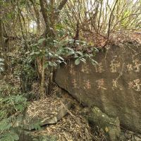 評論圖片 6