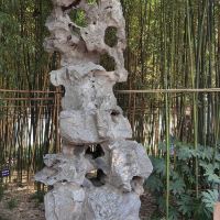 評論圖片 3