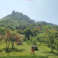 評論圖片 4