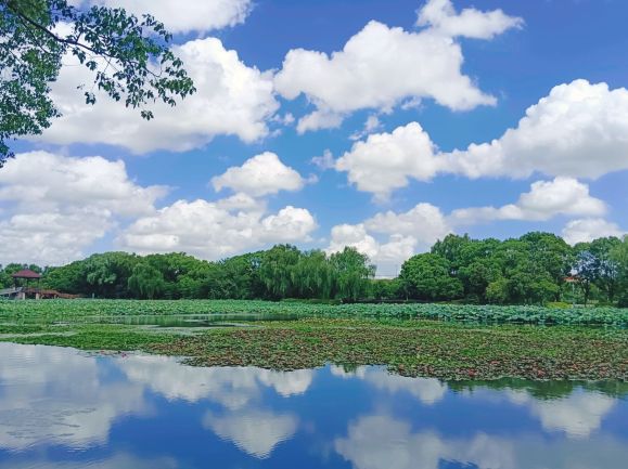 荷塘月色濕地公園門票【2026】- 預約、開放時間、評論及資訊| Trip.com