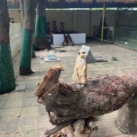 評論圖片 4
