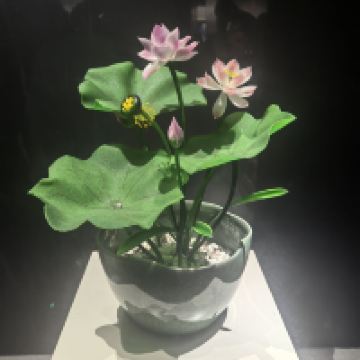評論圖片 2