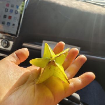 評論圖片 5
