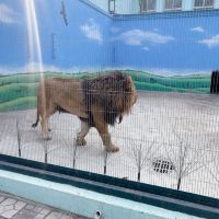 評論圖片 3