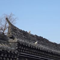 評論圖片 8