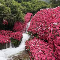 評論圖片 3