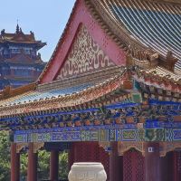 評論圖片 6