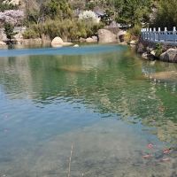 評論圖片 3