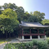 評論圖片 2
