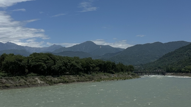 review picture