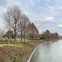 評論圖片 1