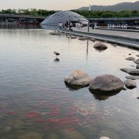 評論圖片 3