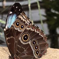 評論圖片 3