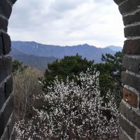 評論圖片 2