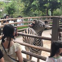 評論圖片 3