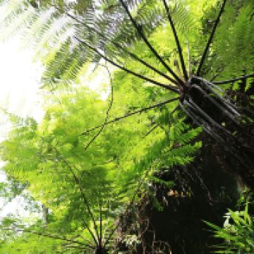 評論圖片 4