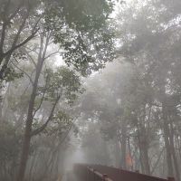 評論圖片 2