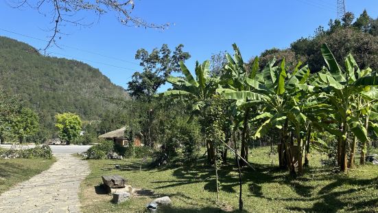 去之前以為是人工后建的，去了之後才知道原住民也在，只是搬遷到