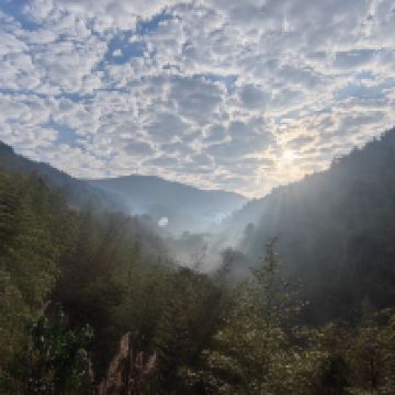 評論圖片 8