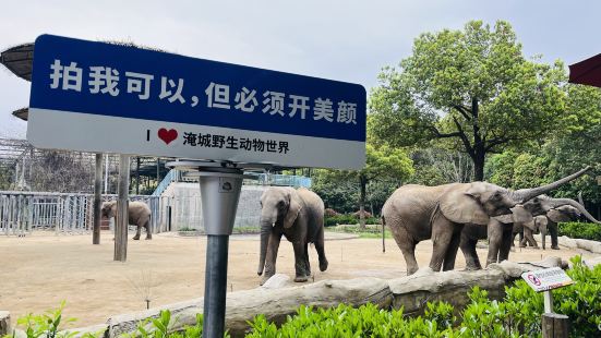 虽然是节假日去游玩的，但是游客并不算多，租车也方便，坐小火车