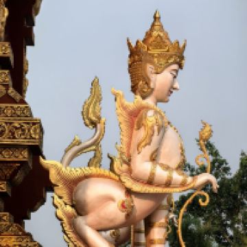 評論圖片 4