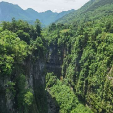 評論圖片 6