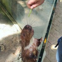 評論圖片 5
