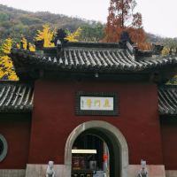 評論圖片 4