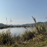 評論圖片 1