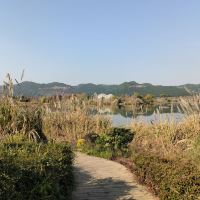 評論圖片 3