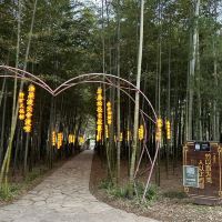評論圖片 1
