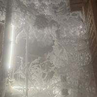 評論圖片 3
