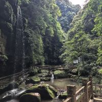 評論圖片 2