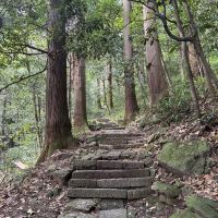 評論圖片 1