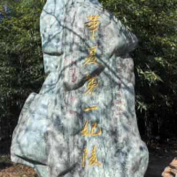評論圖片 5