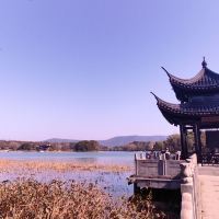 評論圖片 6