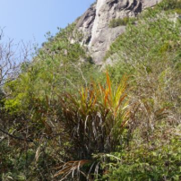 評論圖片 1