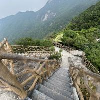 評論圖片 7