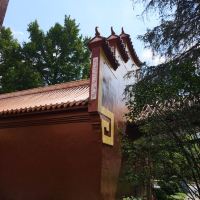 評論圖片 1