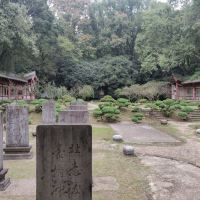 評論圖片 2