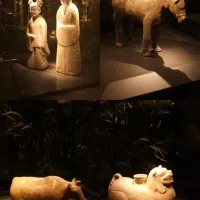 評論圖片 1