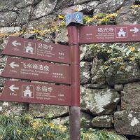 評論圖片 5