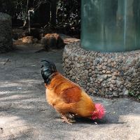 評論圖片 3