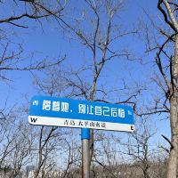 評論圖片 1