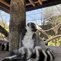 評論圖片 6