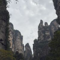 評論圖片 9