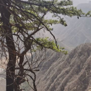 評論圖片 4