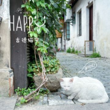 評論圖片 6
