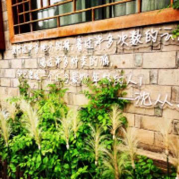 評論圖片 5