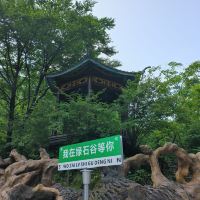 評論圖片 6